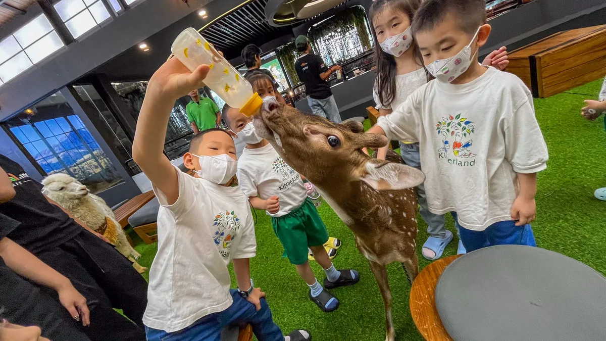 Foto aktivitas Animal Feeding di animal.inc